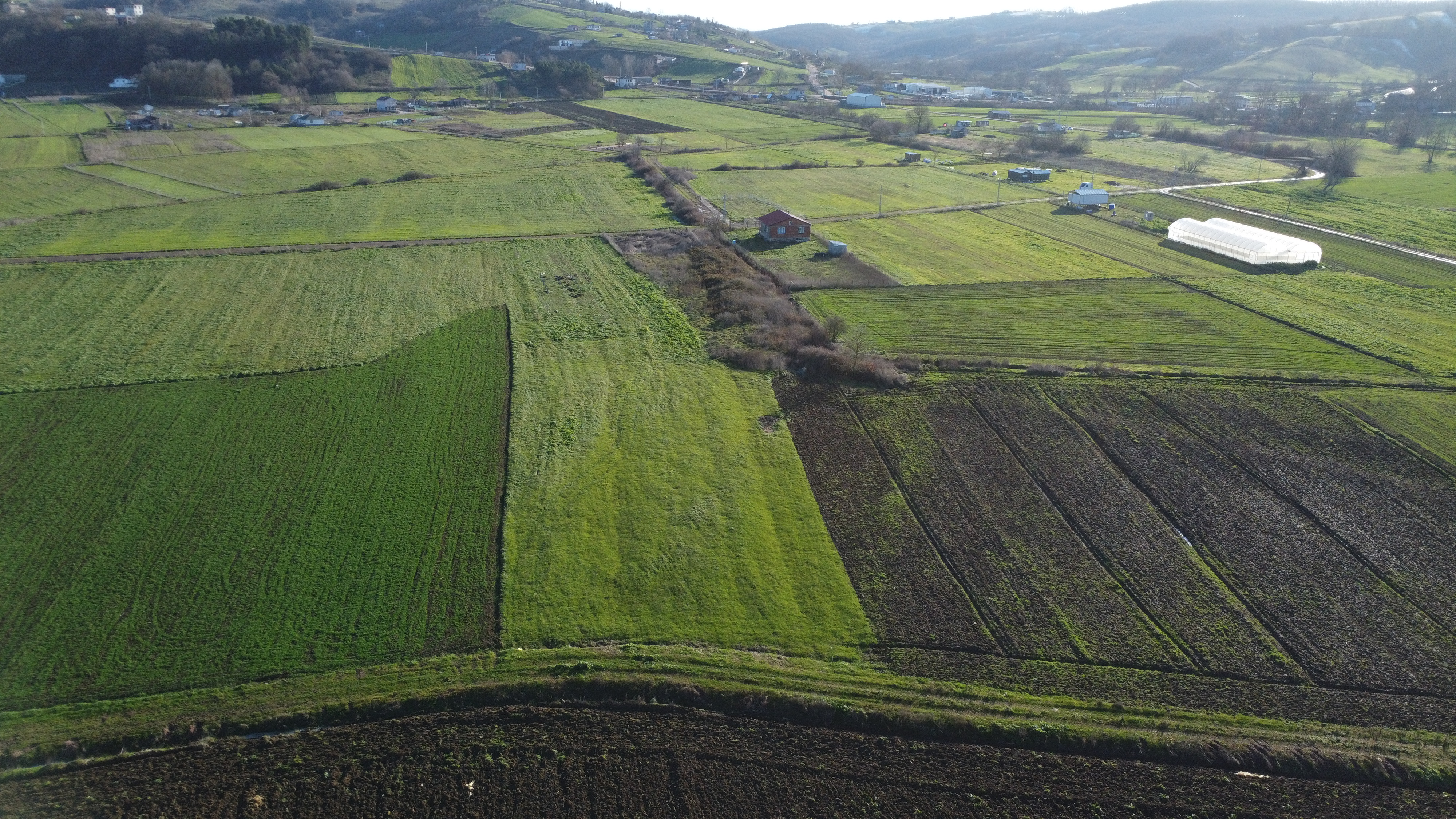 Sevindikli'de Çiftlik İmarlı 3.600 m² Satılık Tarla - fotoğraf 1