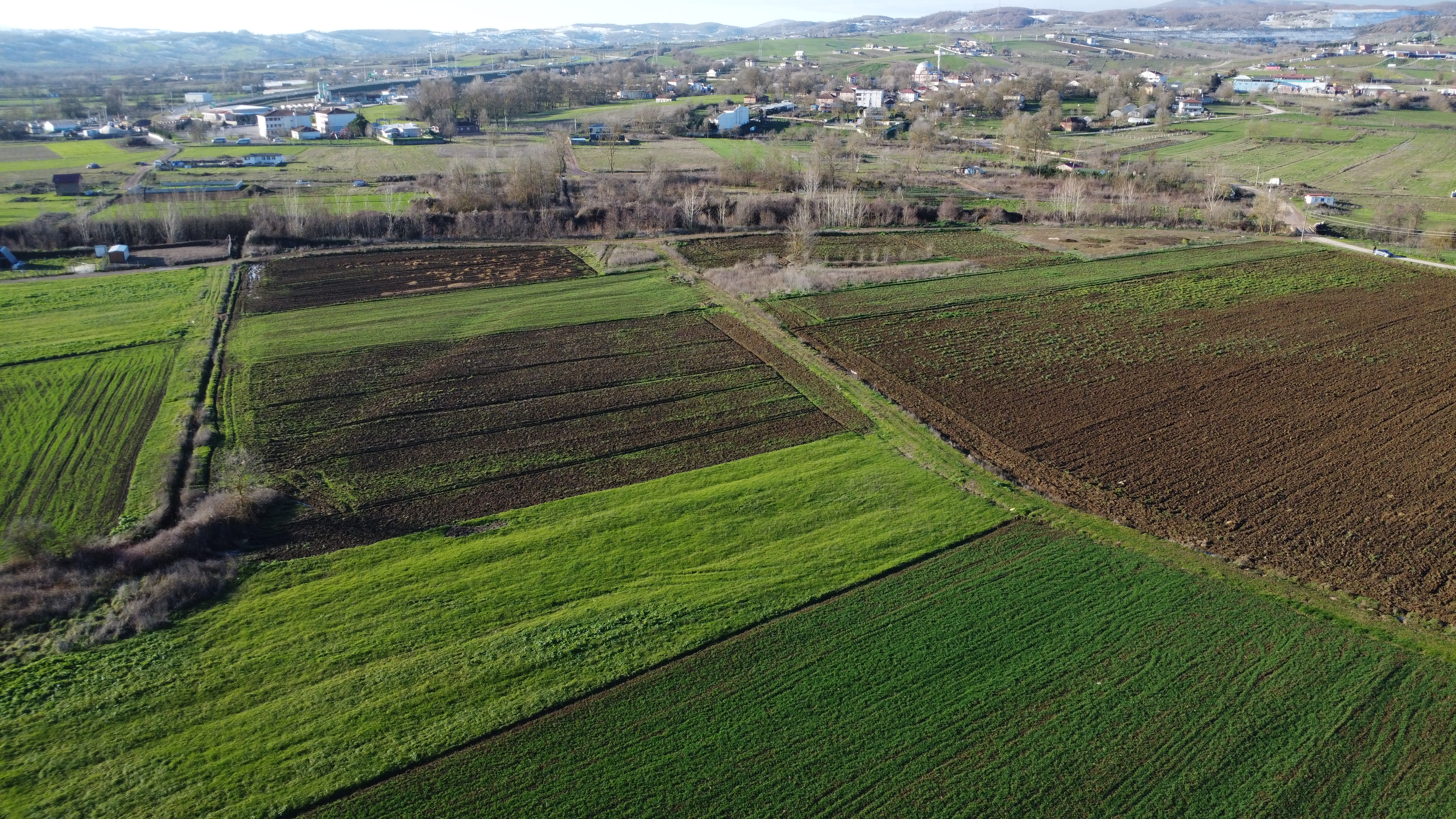 Sevindikli'de Çiftlik İmarlı 3.600 m² Satılık Tarla - fotoğraf 3